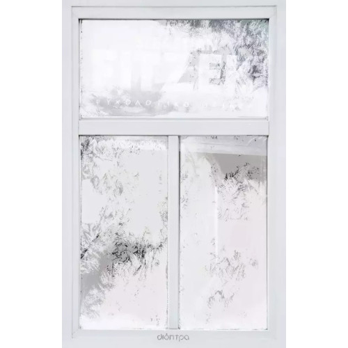 Το Κορίτσι του Ημερολογίου