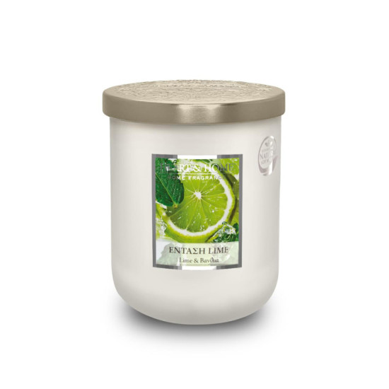 HEART & HOME – ΚΕΡΙ “ΕΚΡΗΞΗ LIME” 320gr – 276950215 HEART & HOME – ΚΕΡΙ “ΕΚΡΗΞΗ LIME” 320gr – 276950215