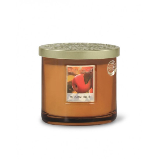ΑΡΩΜΑΤΙΚΟ ΚΕΡΙ ΜΕ ΔΙΠΛΟ ΦΥΤΙΛΙ ΜΗΛΟΚΗΠΟΣ HEART HOME 220gr