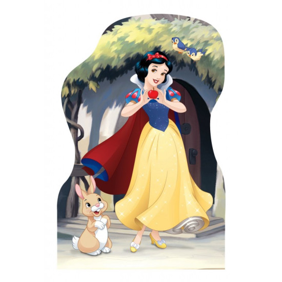 ΠΡΙΓΚΙΠΙΣΣΕΣ & ΦΙΛΟΙ 4 x 54 ΤΕΜ. ΠΑΖΛ Dino